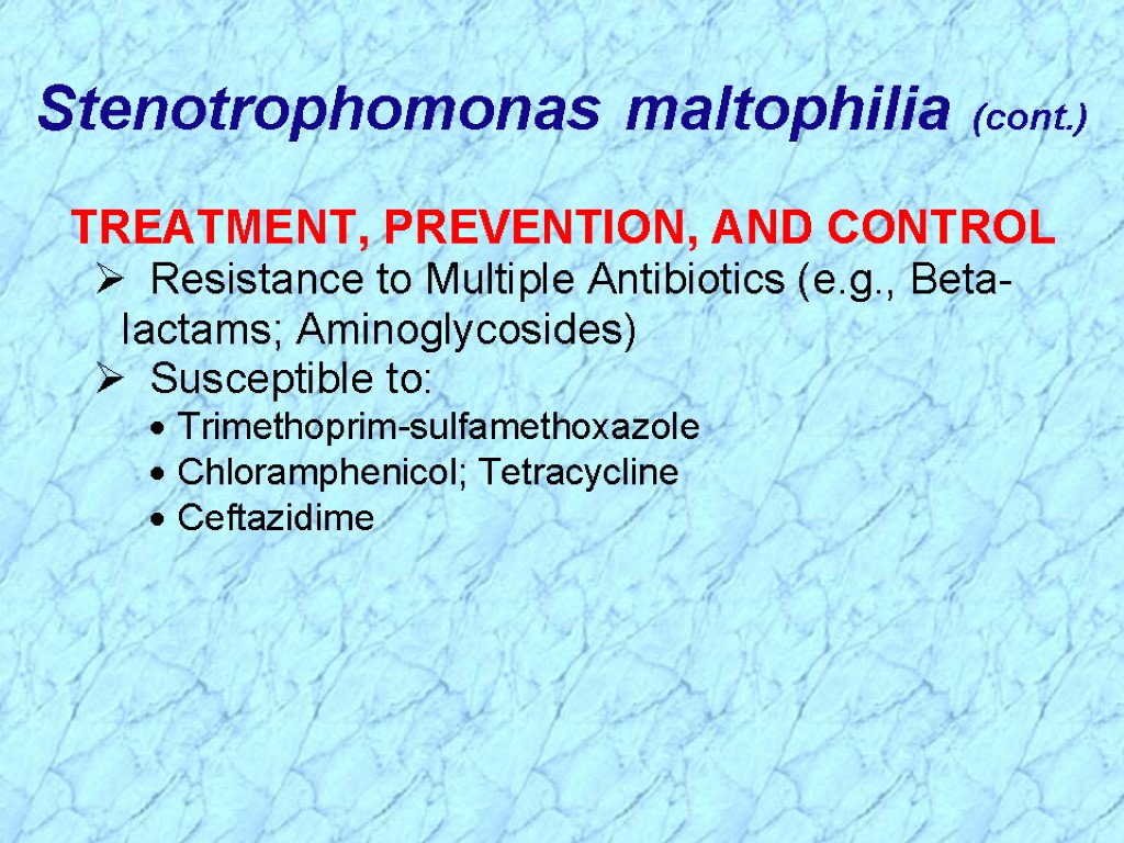 Stenotrophomonas maltophilia (cont.)